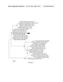 PALYTOXYN, ITS MEDICAL USE AND PROCESS FOR ITS ISOLATION diagram and image