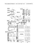 ALTERING STEROID METABOLISM FOR TREATMENT OF STEROID-DEPENDENT DISEASE diagram and image