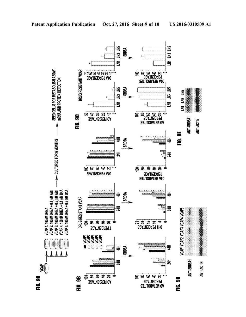 ALTERING STEROID METABOLISM FOR TREATMENT OF STEROID-DEPENDENT DISEASE - diagram, schematic, and image 10