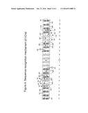 COMPOSITIONS AND METHODS FOR INHIBITING ENDOGENOUS IMMUNOGLOBULIN GENES     AND PRODUCING TRANSGENIC HUMAN IDIOTYPE ANTIBODIES diagram and image