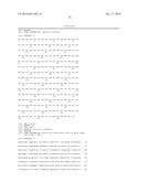 ANTI-LPS O11 ANTIBODY diagram and image