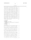 ANTI-LPS O11 ANTIBODY diagram and image