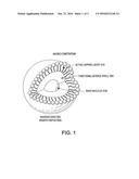 NANOPARTICLE MACRO-COMPOSITIONS diagram and image