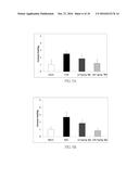 CORDYCEPS CICADAE MYCELIUM ACTIVE SUBSTANCES, PREPARATION METHOD,     PHARMACEUTICAL COMPOSITION AND APPLICATION THEREOF diagram and image