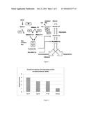 PENTOSE FERMENTING MICROORGANISMS diagram and image