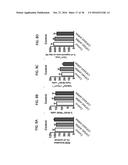 THREE-DIMENSIONAL MODEL OF HUMAN CORTEX diagram and image