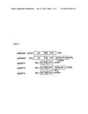 T-Cell Receptor-Deficient T Cell Compositions diagram and image