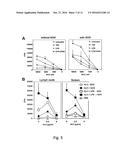 Galactose Oxidase Treatment of Dendritic Cells to Improve their     Immunogenicity diagram and image