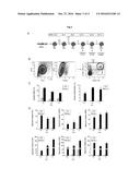 METHOD FOR PRODUCING MEGAKARYOCYTES AND PLATELETS diagram and image