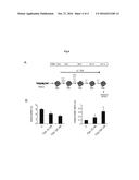 METHOD FOR PRODUCING MEGAKARYOCYTES AND PLATELETS diagram and image