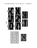 DEVICE AND METHOD FOR STANDARDIZING MYOBLAST DIFFERENTIATION INTO MYOTUBES diagram and image