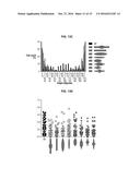 DEVICE AND METHOD FOR STANDARDIZING MYOBLAST DIFFERENTIATION INTO MYOTUBES diagram and image