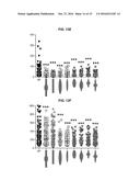 DEVICE AND METHOD FOR STANDARDIZING MYOBLAST DIFFERENTIATION INTO MYOTUBES diagram and image