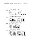 COMPOSITIONS AND METHODS FOR OBTAINING STEM CELL DERIVED LUNG TISSUE, AND     RELATED USES THEROF diagram and image