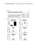 COMPOSITIONS AND METHODS FOR OBTAINING STEM CELL DERIVED LUNG TISSUE, AND     RELATED USES THEROF diagram and image