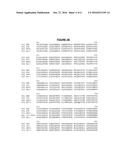 THERMUS THERMOPHILUS NUCLEIC ACID POLYMERASES diagram and image