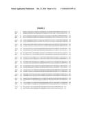 THERMUS THERMOPHILUS NUCLEIC ACID POLYMERASES diagram and image