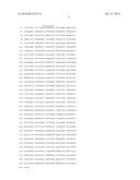 THERMUS THERMOPHILUS NUCLEIC ACID POLYMERASES diagram and image