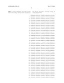 THERMUS THERMOPHILUS NUCLEIC ACID POLYMERASES diagram and image