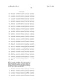 THERMUS THERMOPHILUS NUCLEIC ACID POLYMERASES diagram and image