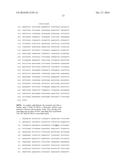 THERMUS THERMOPHILUS NUCLEIC ACID POLYMERASES diagram and image