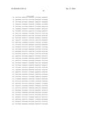 THERMUS THERMOPHILUS NUCLEIC ACID POLYMERASES diagram and image