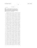 THERMUS THERMOPHILUS NUCLEIC ACID POLYMERASES diagram and image