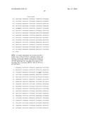 THERMUS THERMOPHILUS NUCLEIC ACID POLYMERASES diagram and image