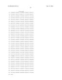 THERMUS THERMOPHILUS NUCLEIC ACID POLYMERASES diagram and image