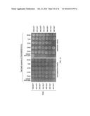 Engineered CRISPR-CAS9 NUCLEASES WITH ALTERED PAM SPECIFICITY diagram and image