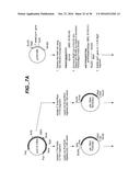 NOVEL VARIANT HYPROCREA JECORINA CBH1 CELLULASES diagram and image