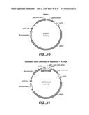 NOVEL VARIANT HYPROCREA JECORINA CBH1 CELLULASES diagram and image