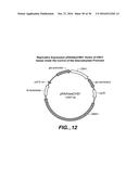 NOVEL VARIANT HYPROCREA JECORINA CBH1 CELLULASES diagram and image