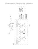 Methods and Compositions for Rapid Assembly of Genetic Modules diagram and image