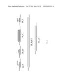 Methods and Compositions for Rapid Assembly of Genetic Modules diagram and image