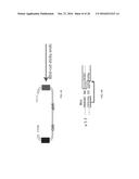 Methods and Compositions for Rapid Assembly of Genetic Modules diagram and image