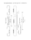 Methods and Compositions for Rapid Assembly of Genetic Modules diagram and image