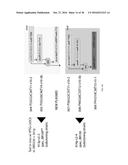 Methods and Compositions for Rapid Assembly of Genetic Modules diagram and image