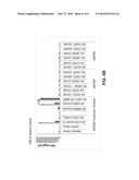 Dual Targeting siRNA  Agents diagram and image