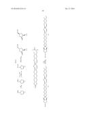 Dual Targeting siRNA  Agents diagram and image