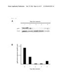 COMPOSITION FOR REGENERATING NORMAL TISSUE FROM FIBROTIC TISSUE diagram and image