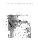 REDUCTION OF LIPASE ACTIVITY IN PRODUCT FORMULATIONS diagram and image