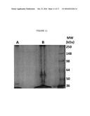 REDUCTION OF LIPASE ACTIVITY IN PRODUCT FORMULATIONS diagram and image