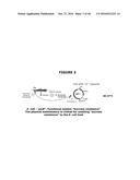 ANTIBIOTIC-FREE PLASMID diagram and image