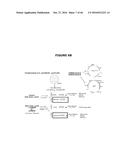 ANTIBIOTIC-FREE PLASMID diagram and image