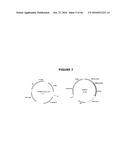 ANTIBIOTIC-FREE PLASMID diagram and image