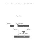 ANTIBIOTIC-FREE PLASMID diagram and image