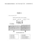 ANTIBIOTIC-FREE PLASMID diagram and image