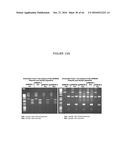 ANTIBIOTIC-FREE PLASMID diagram and image