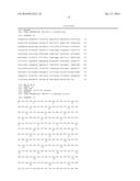 ANTIBIOTIC-FREE PLASMID diagram and image